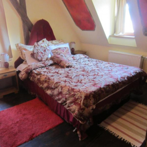 Отель Pensiune Citadela Sighisoara  Сигишоара